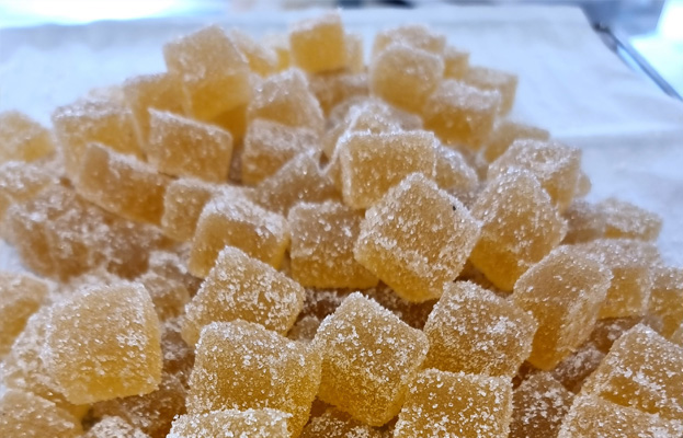 pates de fruits artisanales à Saint‑Pourçain‑sur‑Sioule dans l'Allier 03